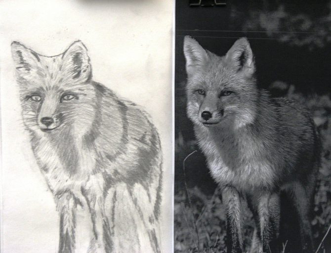 Renard Renard