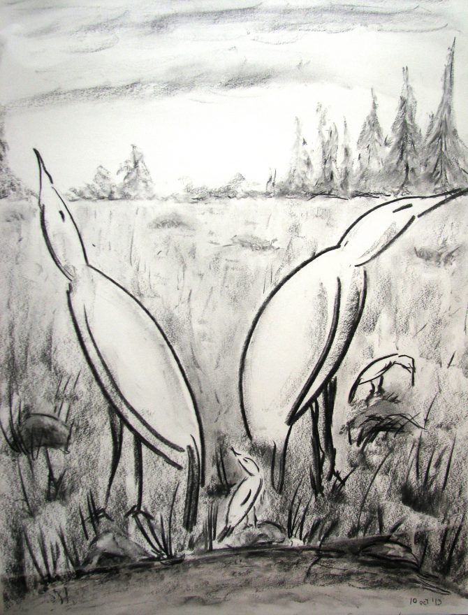 Oiseaux Oiseaux