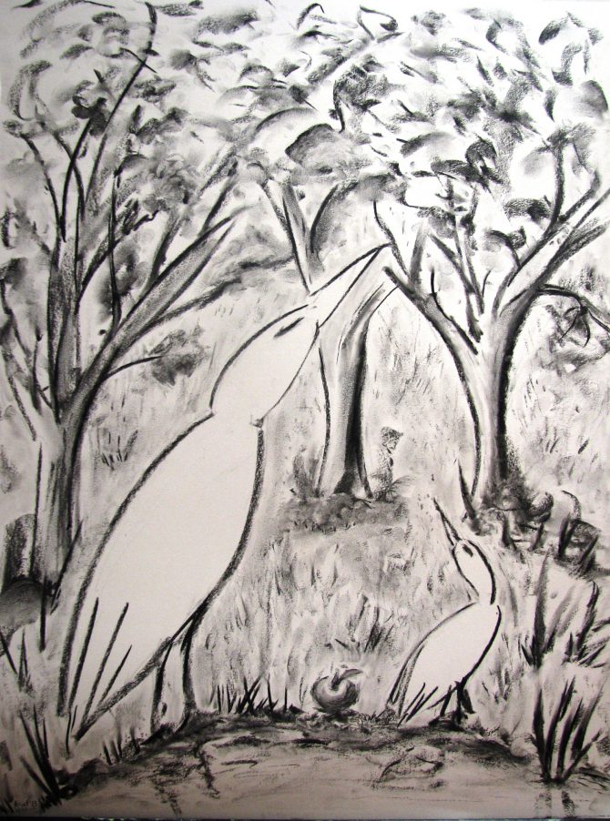 Oiseaux ailleurs Oiseaux ailleurs
