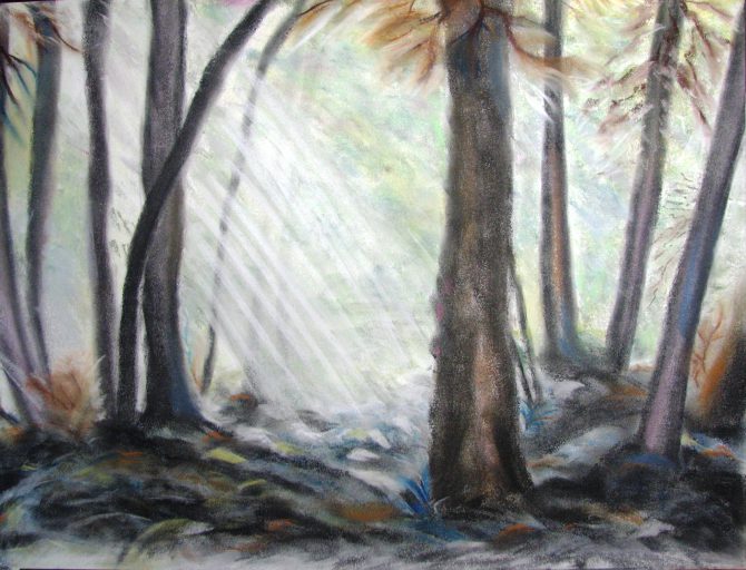 Lumière en forêt Lumière en forêt