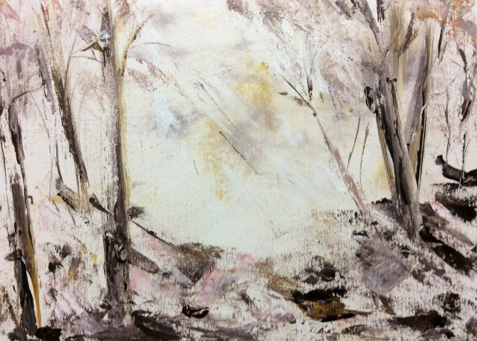 Lumière en forêt Lumière en forêt