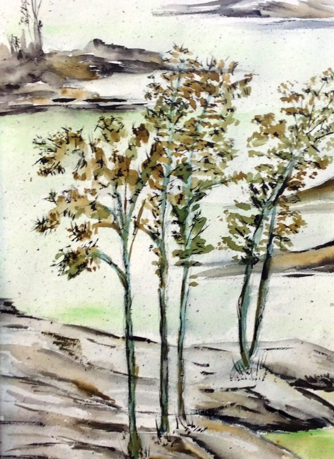 Les 5 arbres Les 5 arbres