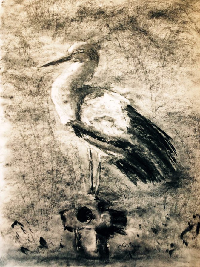 Cigogne en noir et blanc Cigogne en noir et blanc