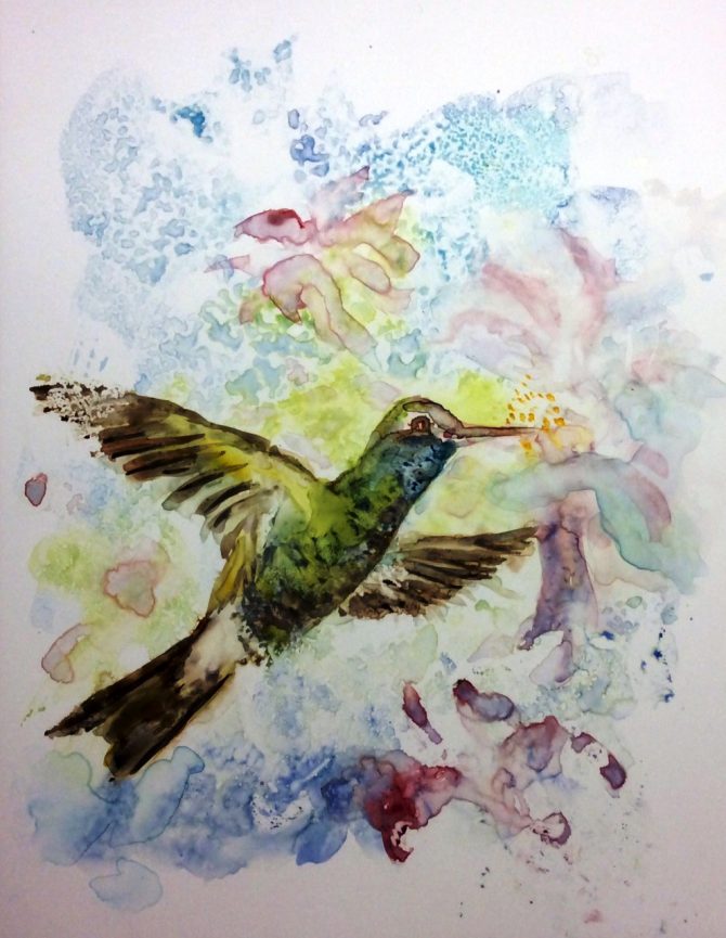 Oiseau de paradis Oiseau de paradis