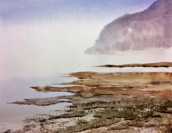 Baie des brumes Baie des brumes
