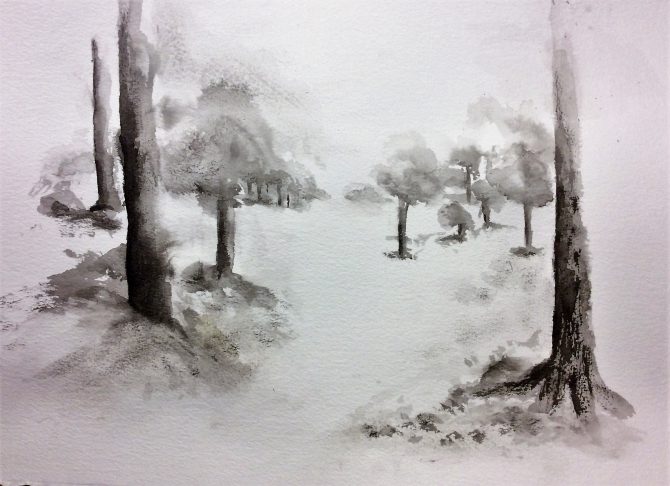 Le sentier des arbres orphelins Le sentier des arbres orphelins