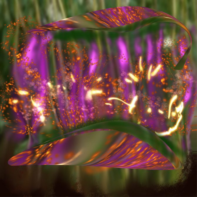 La perle flamboyante La perle flamboyante