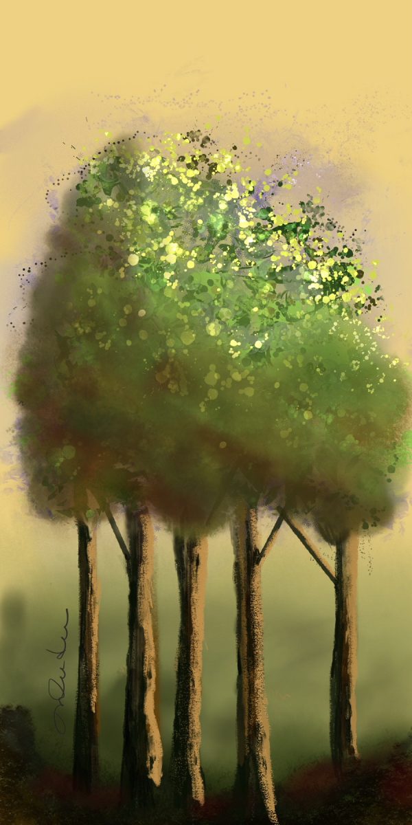L’arbre aux cinq troncs L’arbre aux cinq troncs