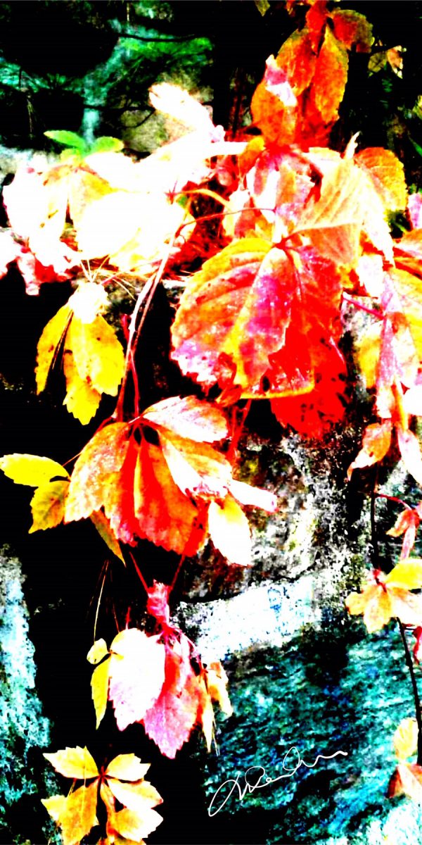 Parfum d’automne Parfum d’automne