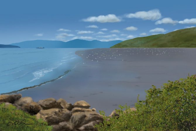 Baie d’escarpe Baie d’escarpe
