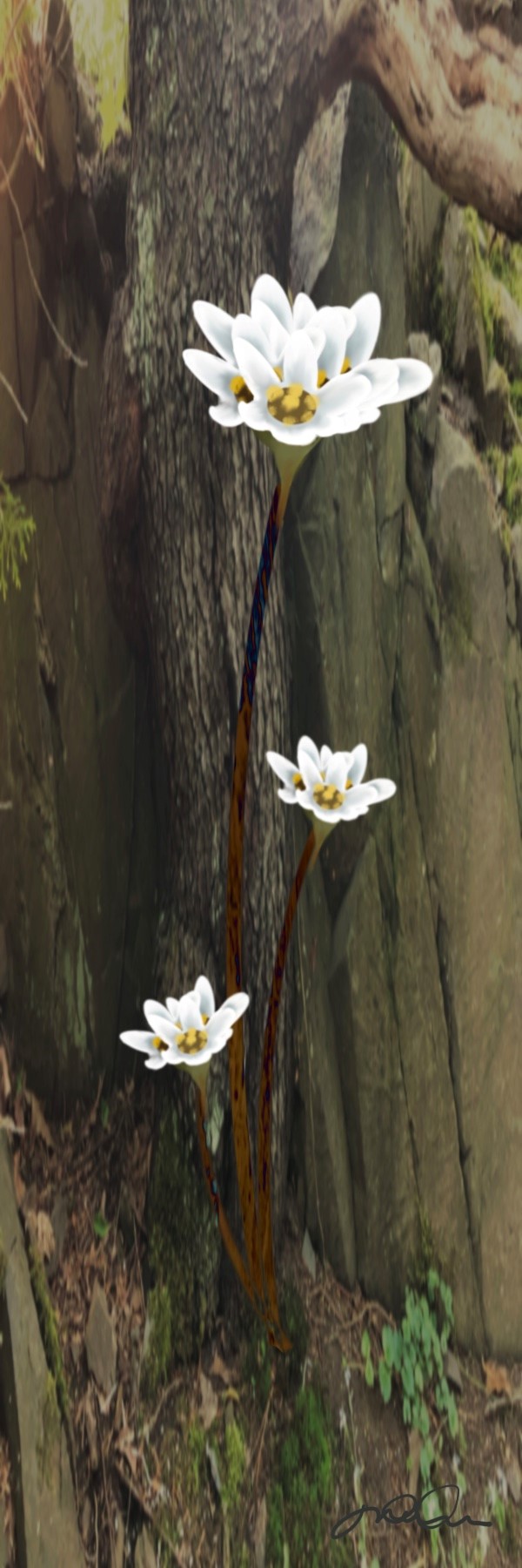 À l’ombre du géant