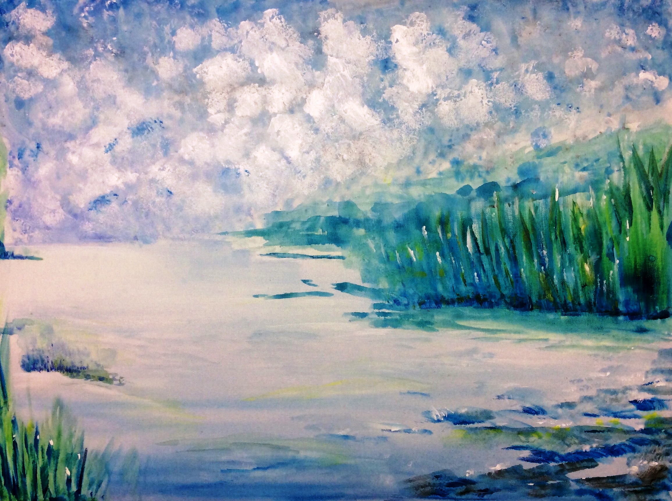 Rive d’un lac inconnu