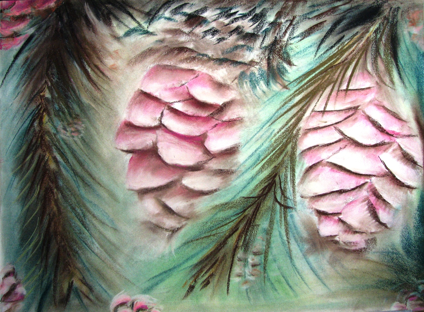 Cônes d’épinette