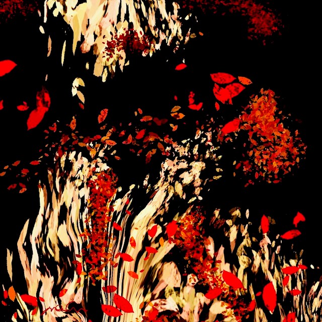 Dans le mystère de la nuit