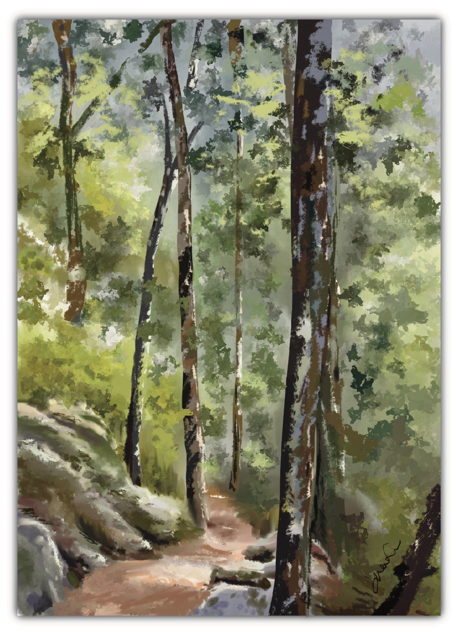 De retour au bercail