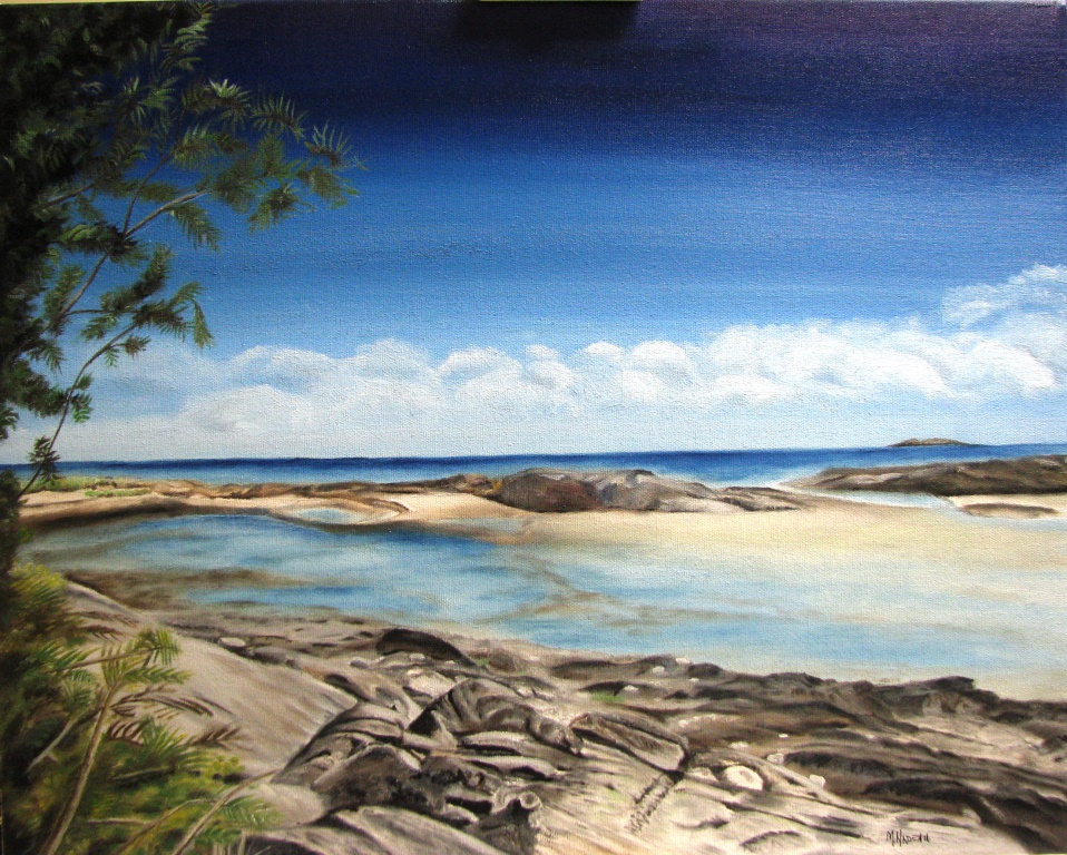 Où sont les lièvres ?