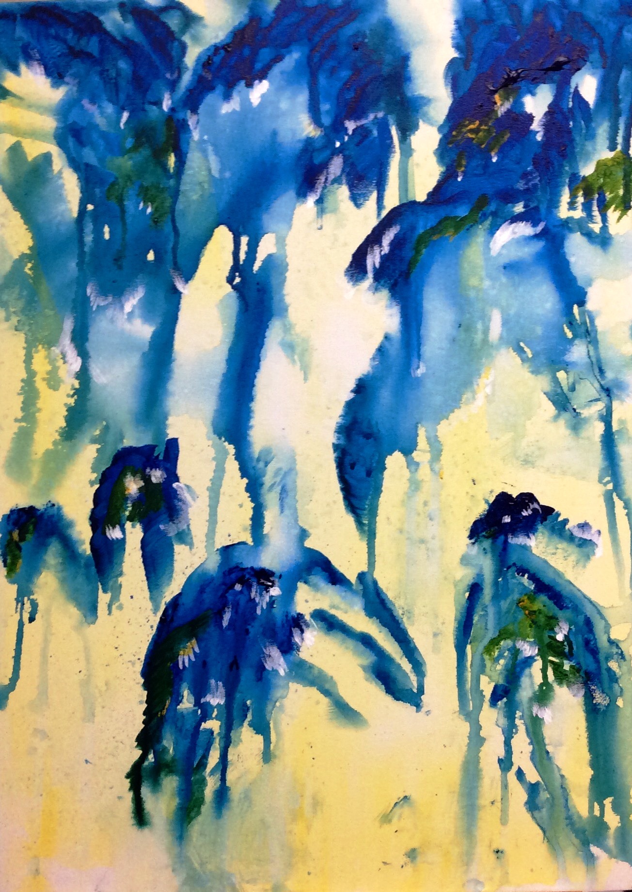 Échassiers de l’Isle-aux-Coudres