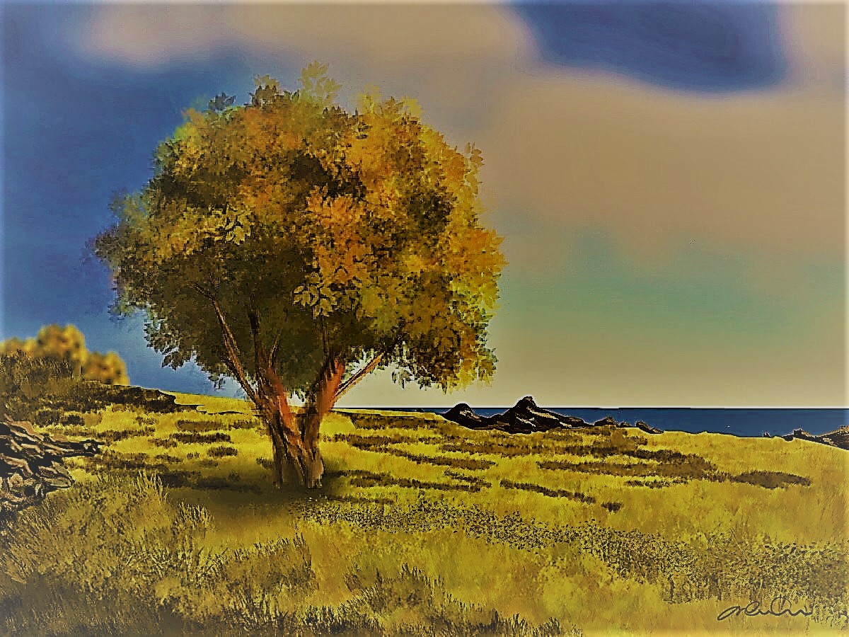 En toute discrétion