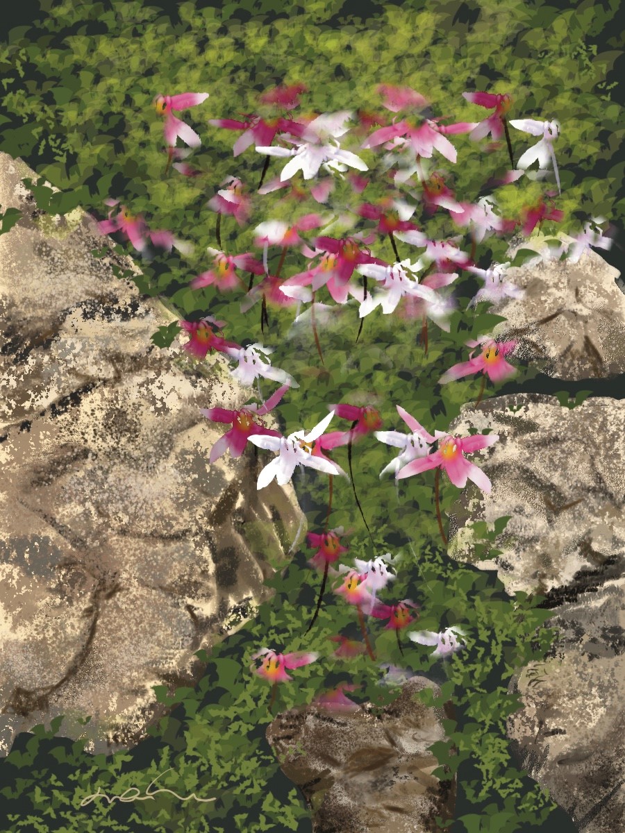 Escapade en plein air