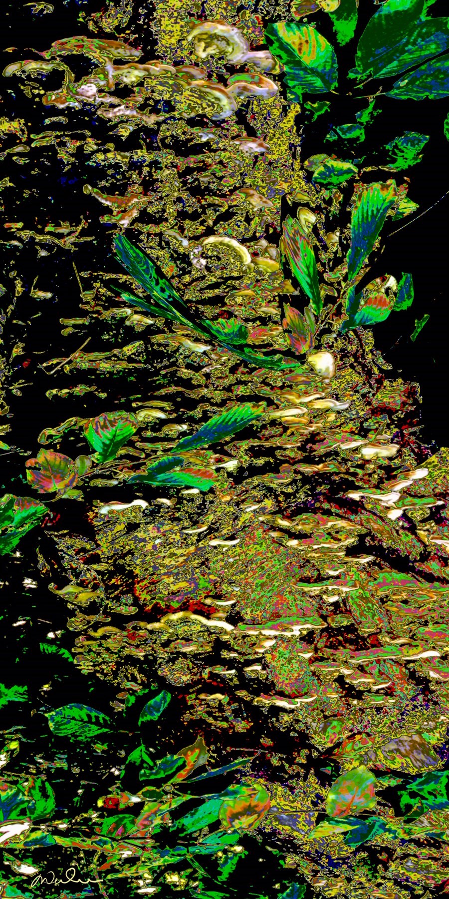 La source mystérieuse