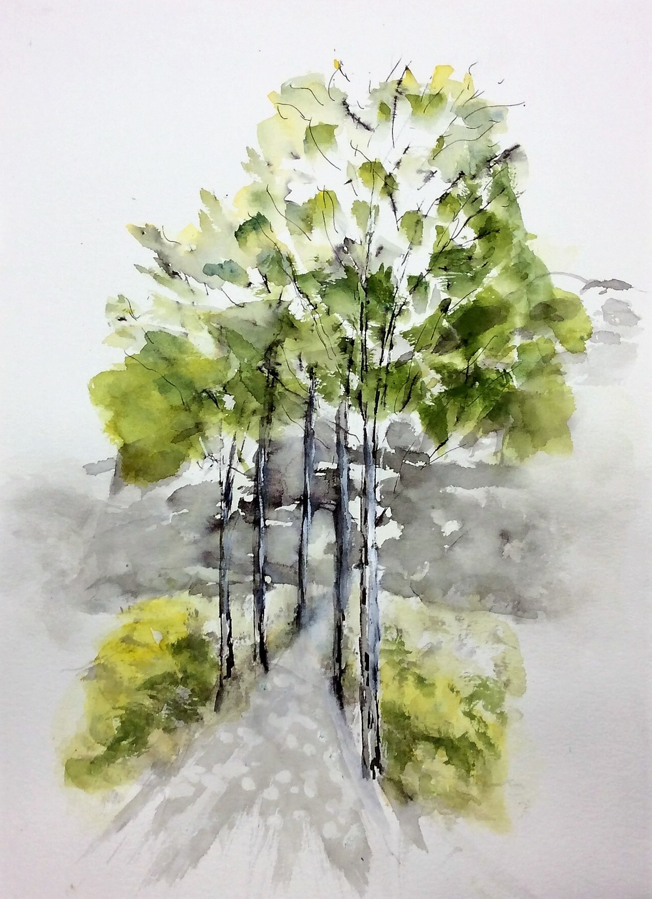 Le raccourci des tilleuls