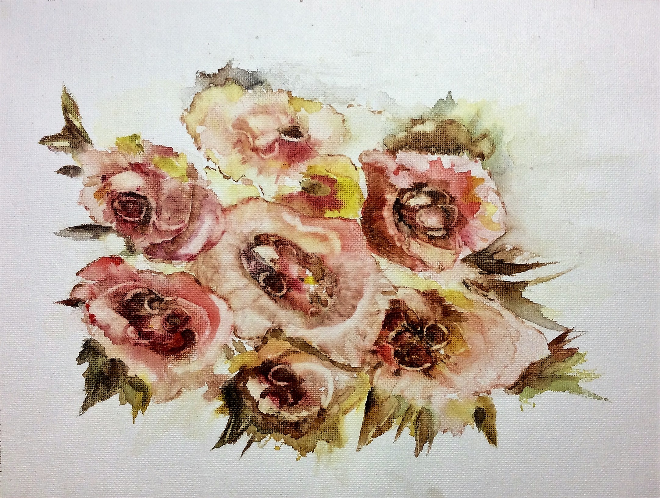 Le refuge du roselin