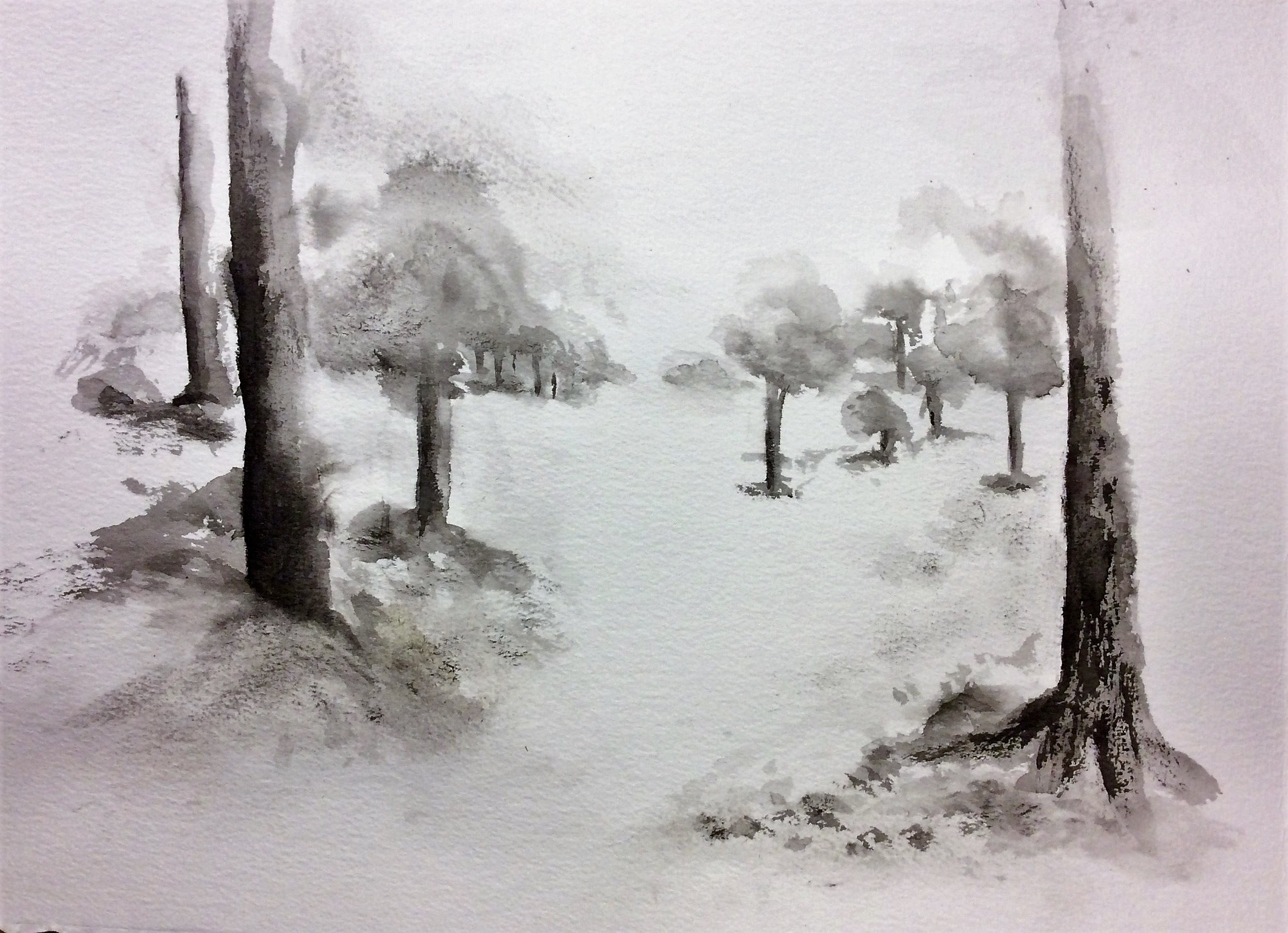 Le sentier des arbres orphelins