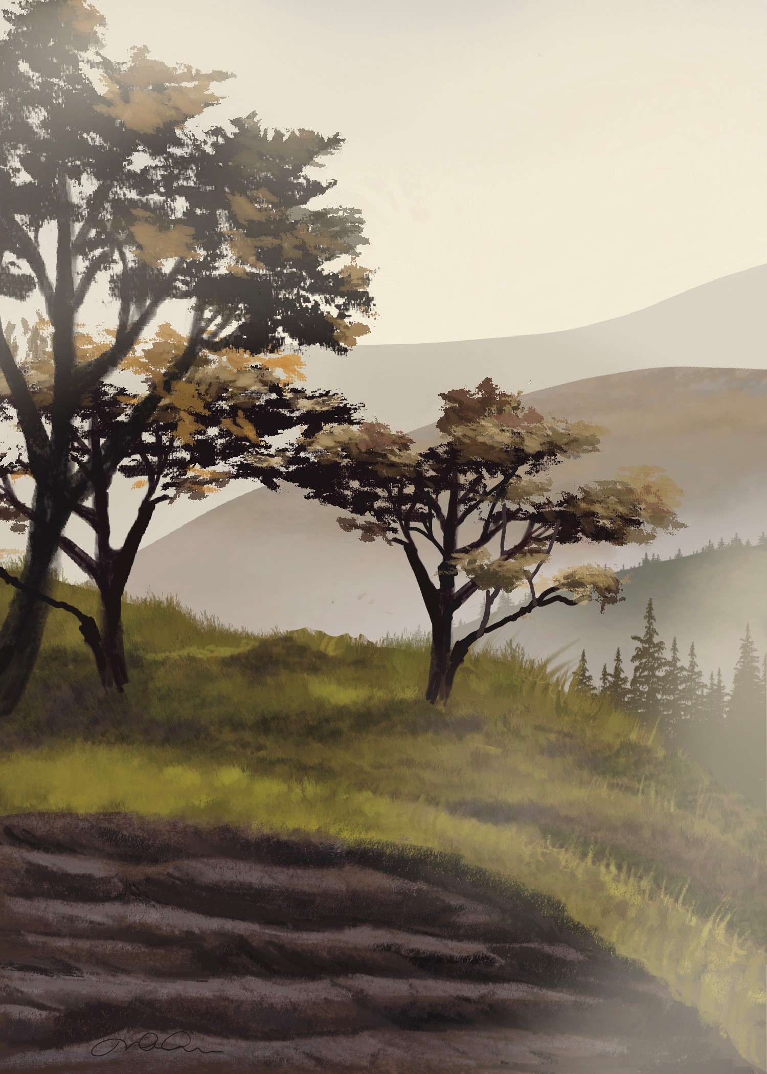 Les mystères du brouillard