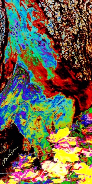 Les secrets de l’arbre