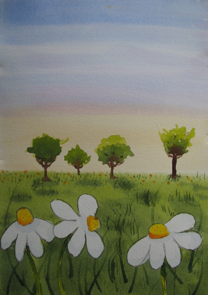 Quelques marguerites