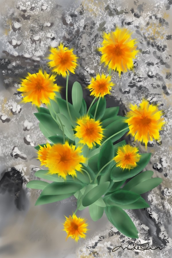 Plus fortes que le roc