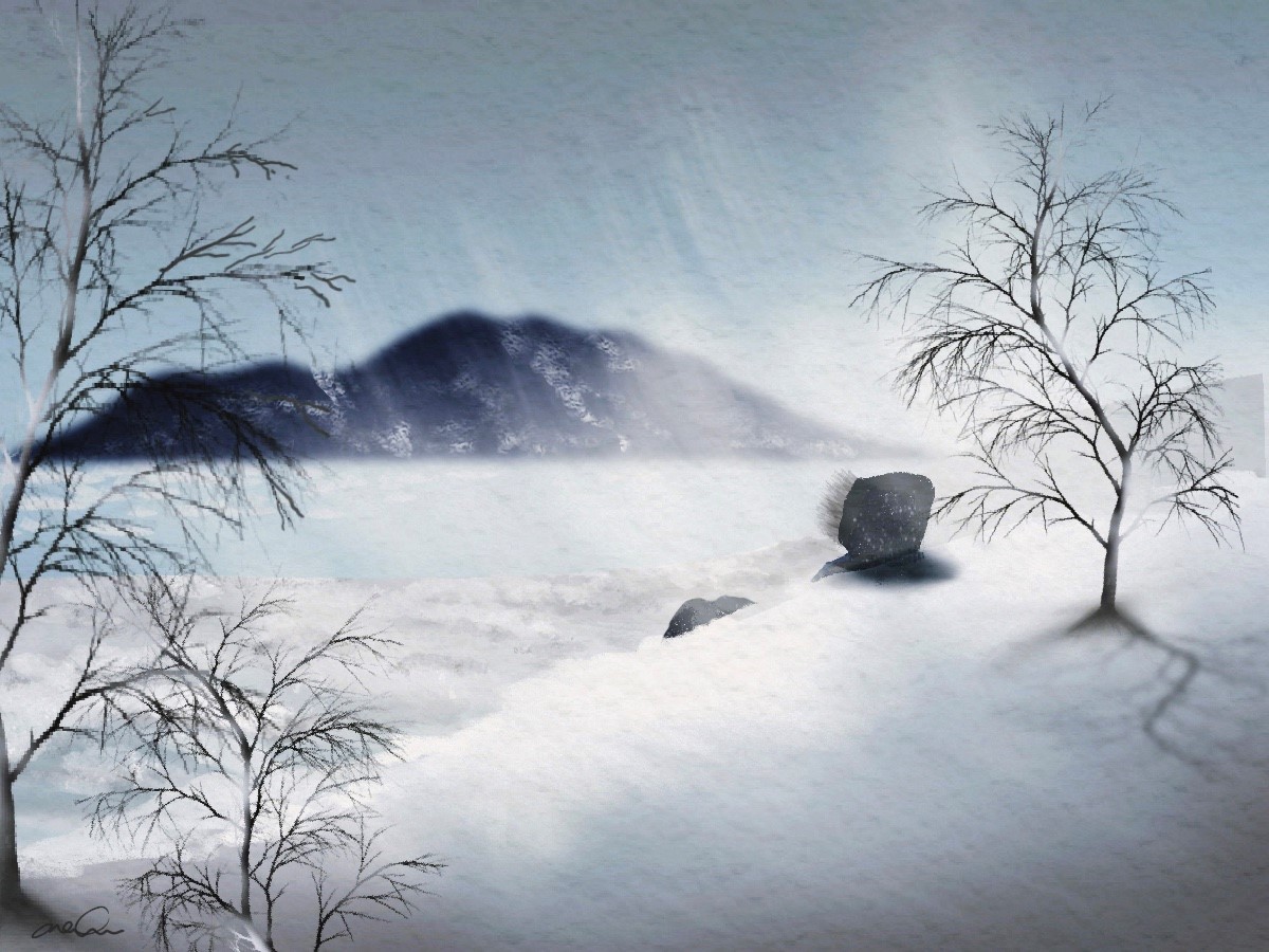 Relaxation dans la nature