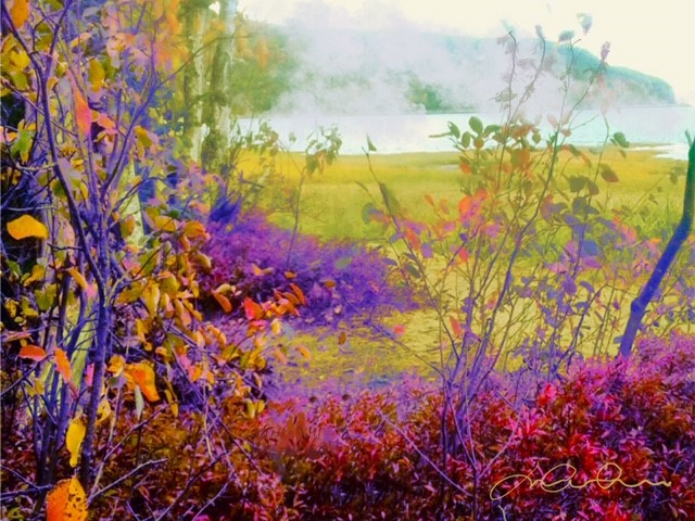 Soupçon de féérie