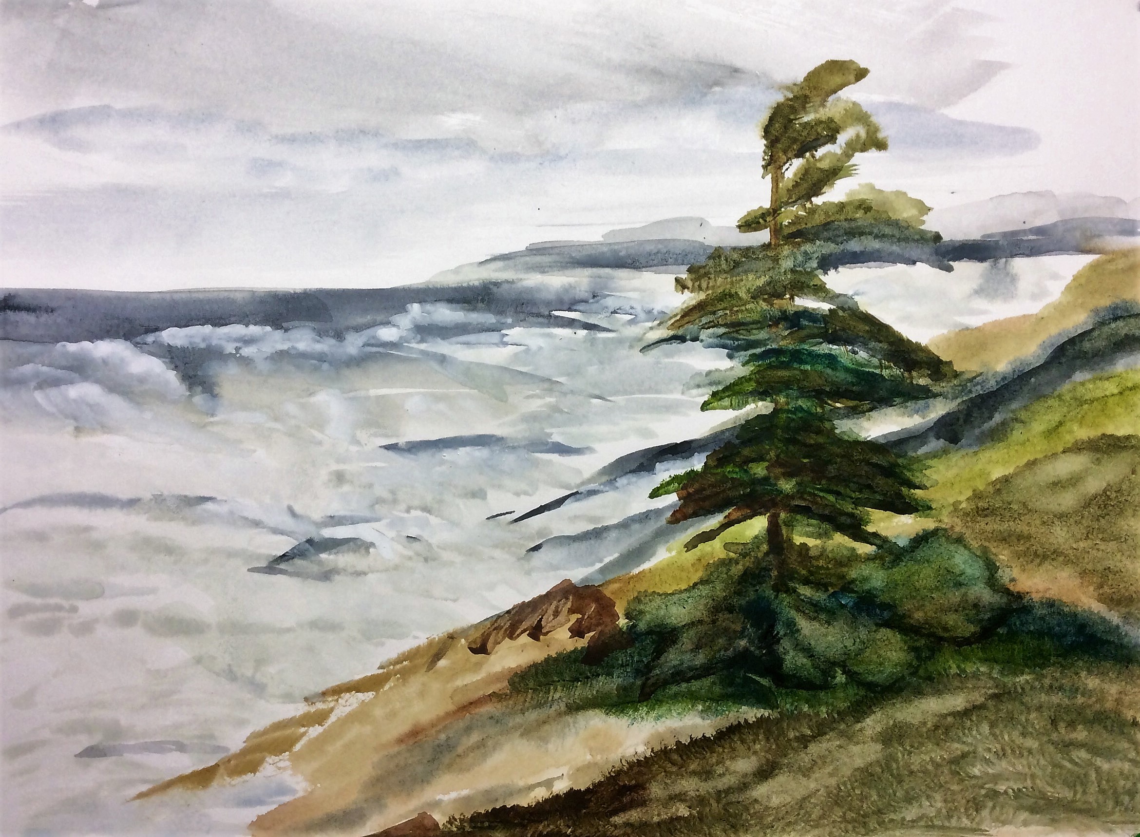 Souvenir de Tuckamore