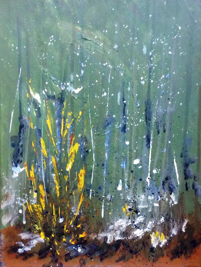 Forêt enchantée Forêt enchantée