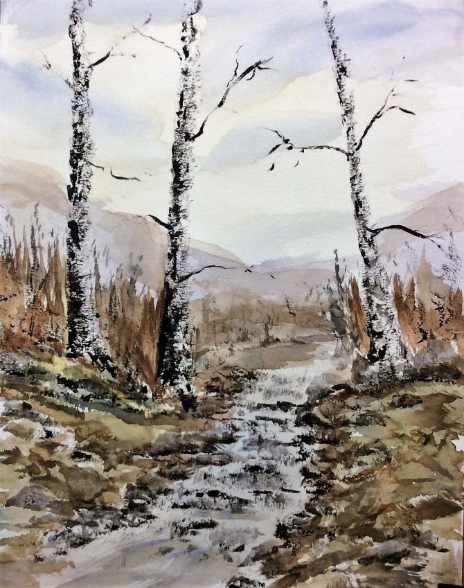 Le ruisseau de l’arrière-pays Le ruisseau de l’arrière-pays